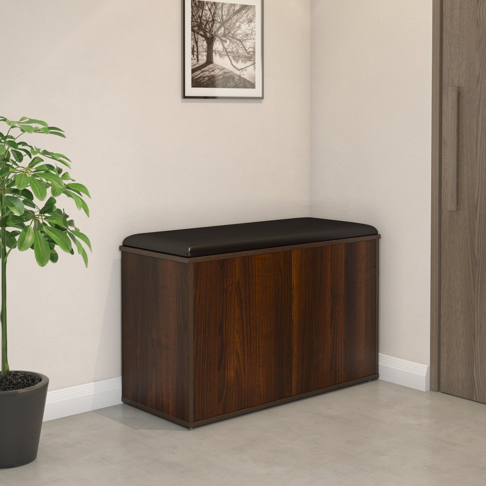Metro 2 Door Engineered Wood Shoe Cabinet (Walnut) furniture reference